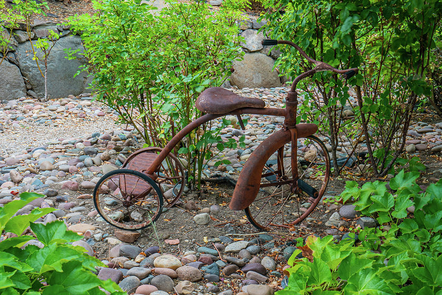 Play Time Gone By Photograph by Ron Long Ltd Photography