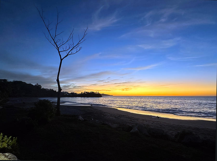 Playa Flamingo Golden Hour Photograph by Joe Schofield