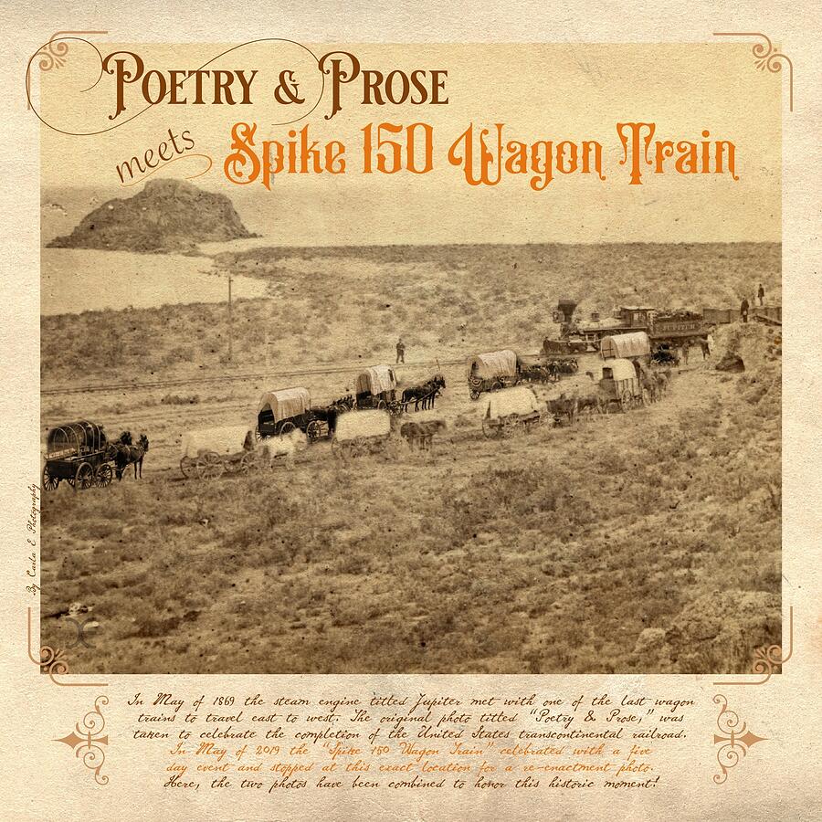 Poetry and Prose meets Spike 150 Photograph by Carla E