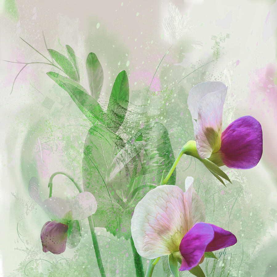 Delicate Floral Arrangement Digital Art - Pois de senteur by Gina Harrison
