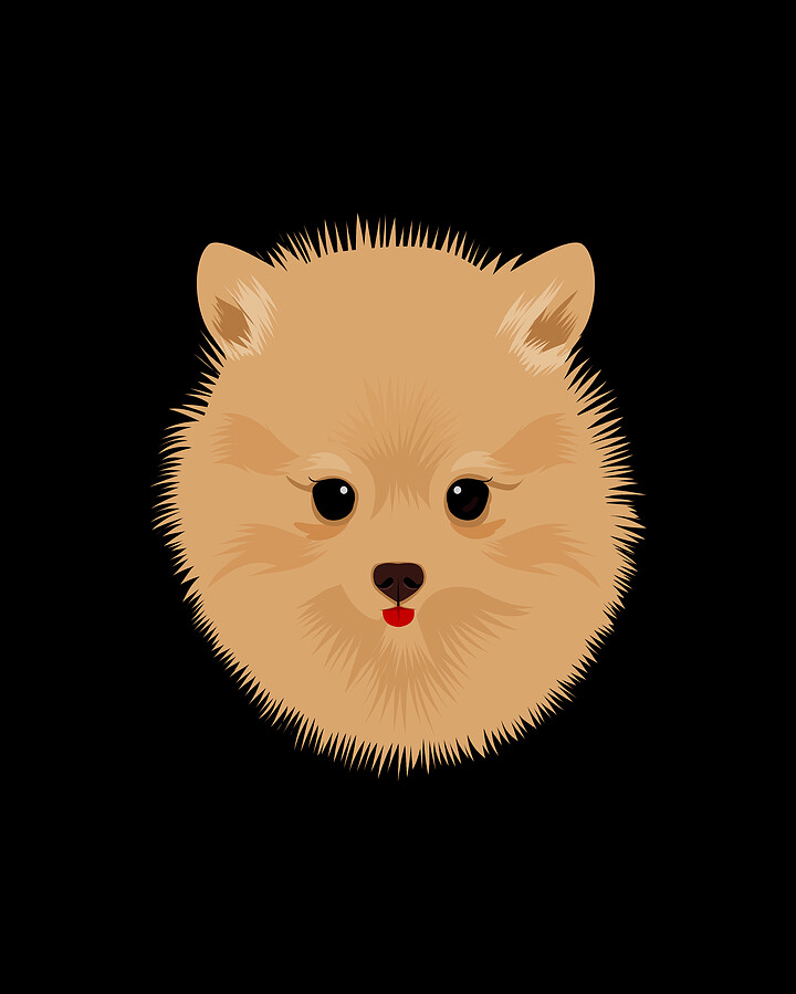 Poporanian Pup Digital Art by Flippin Sweet Gear