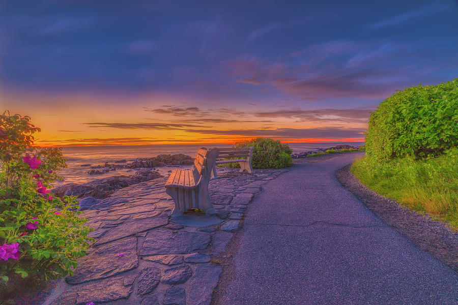 Precious Beginnings Photograph by Penny Polakoff