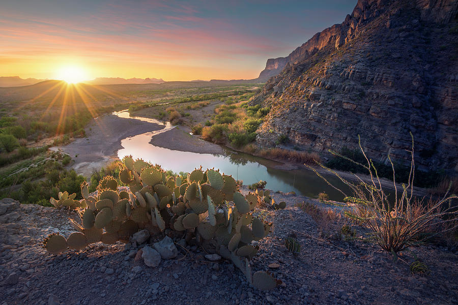 Prickly Pair Photograph by Slow Fuse Photography