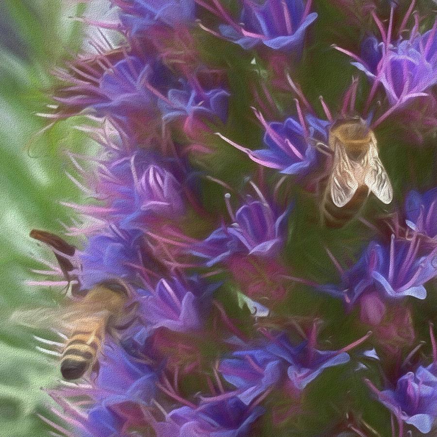 Pride of Madeira #1 Photograph by Rebecca Herranen