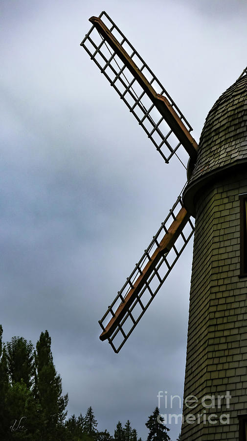 Profile of a Mindful Windmill Photograph by D Lee