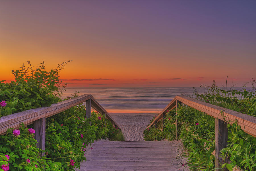 Promise and Hope Photograph by Penny Polakoff