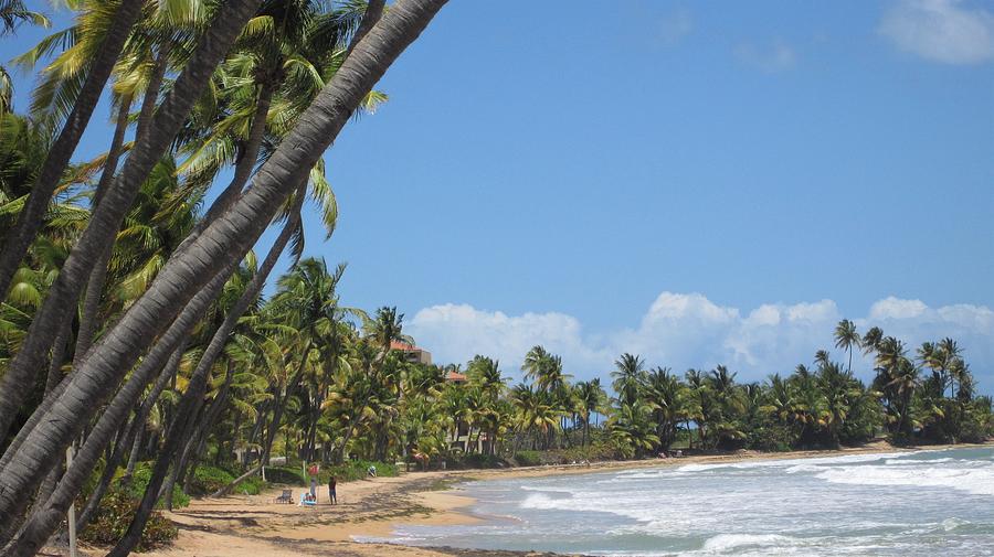 Puerto Rico beach scene Photograph by Doreen Rosselli
