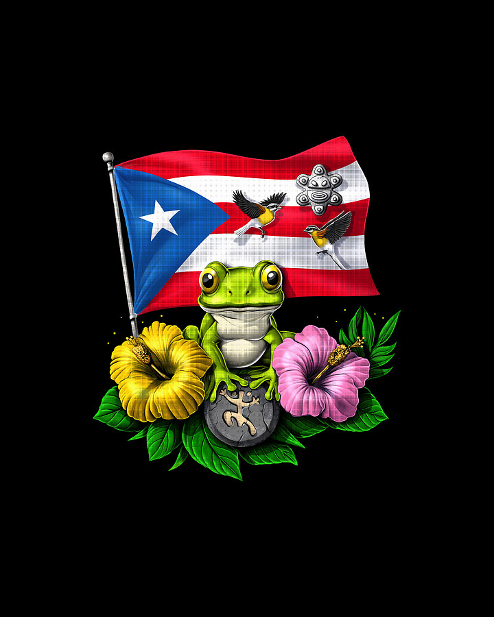 LP / M201-PR プエルトリコ国旗デザイン ファイル:Flag of Puerto Rico.svg - Wikipedia