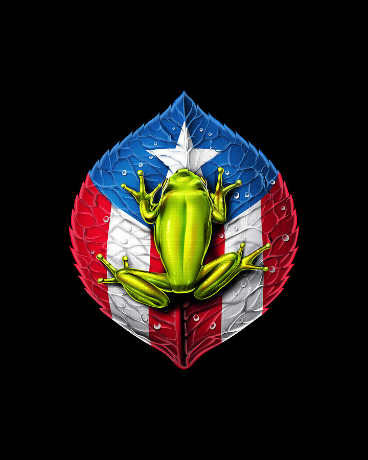 Puerto Rico Flag Coqui Frog Digital Art by Nikolay Todorov - Metal