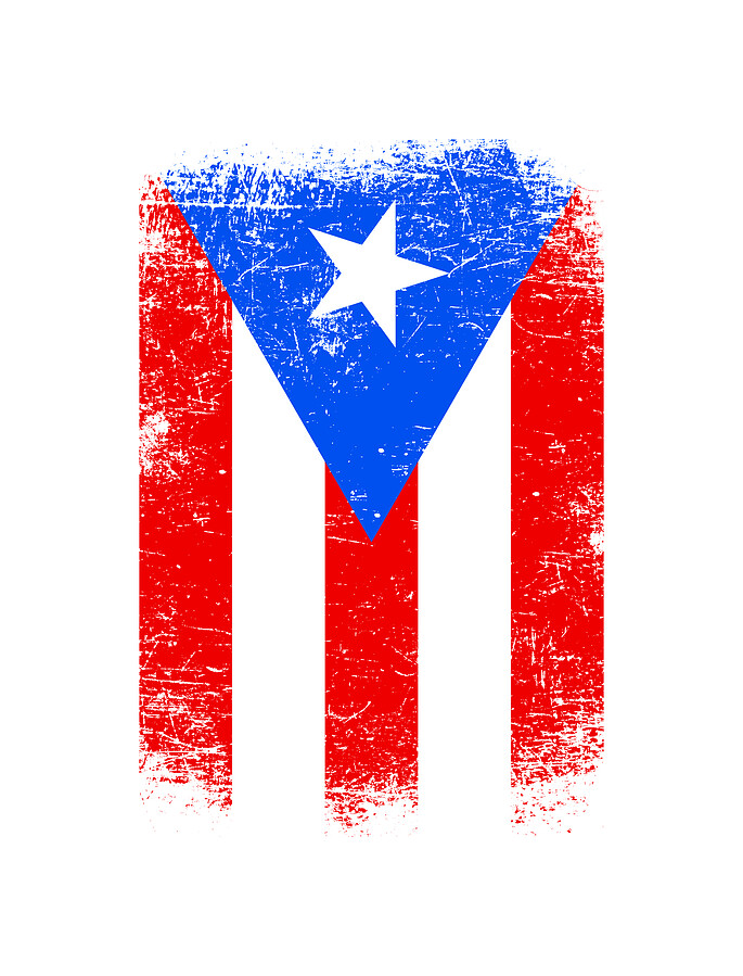 Puerto Rico Flag Puerto Rican Digital Art by Flippin Sweet Gear