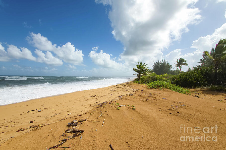Puerto Rico Photograph by Jeff Saunders