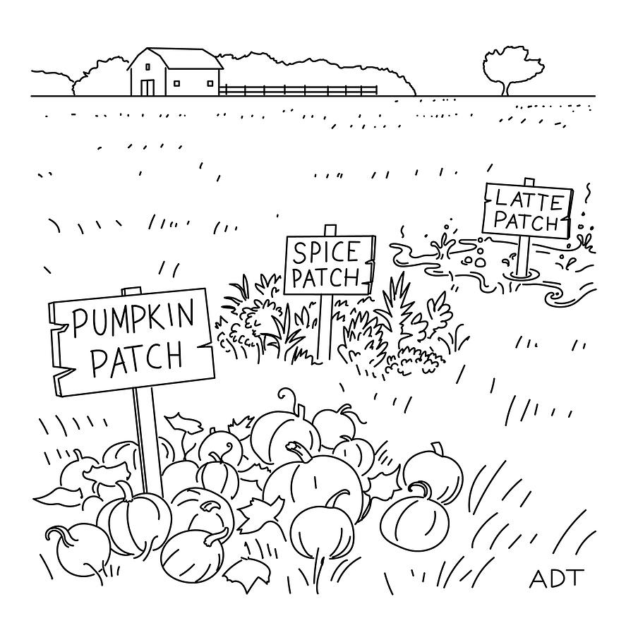 Pumpkin Spice Latte Patch Drawing by Adam Douglas Thompson