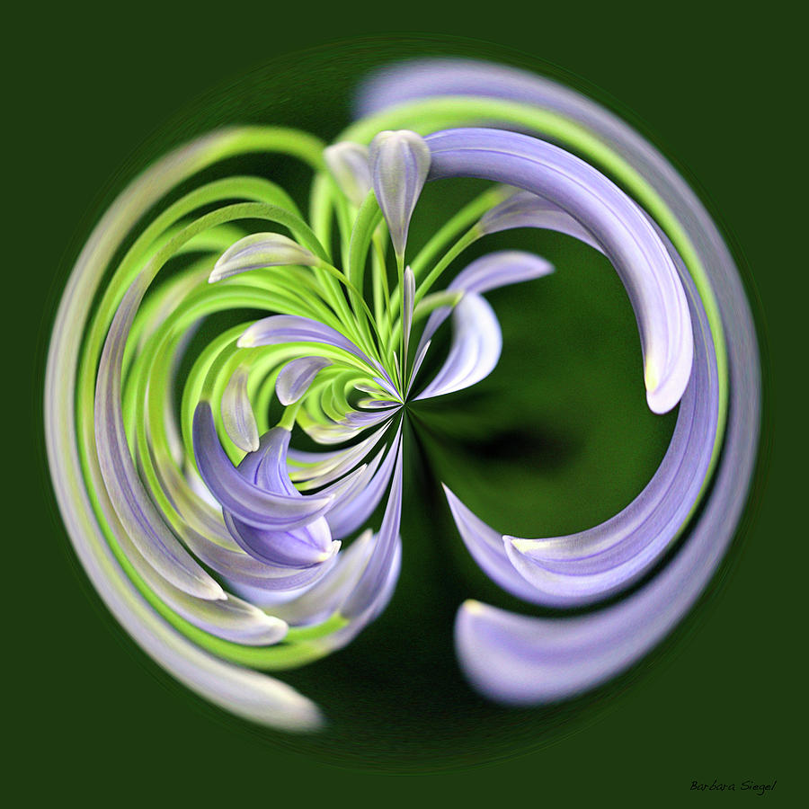 Purple Twist Photograph by Barbara Siegel