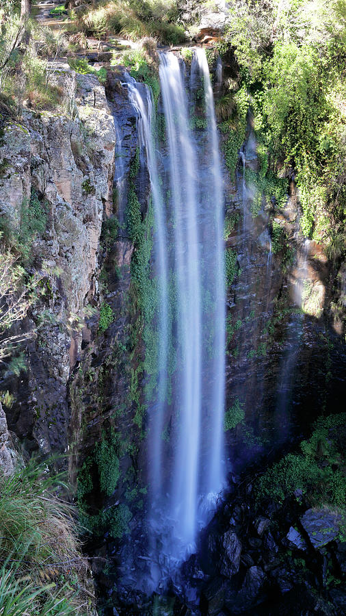 Queen Mary Falls Photograph by Nicholas Blackwell