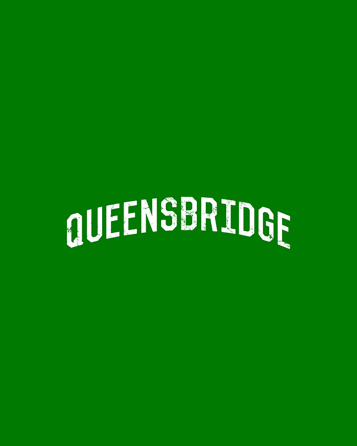 Queensbridge NY Digital Art by Flippin Sweet Gear