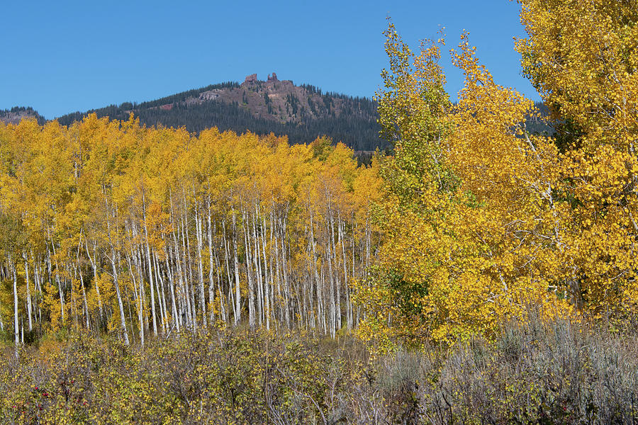 Rabbit Ears Pass Autumn Landscape Photograph by Cascade Colors