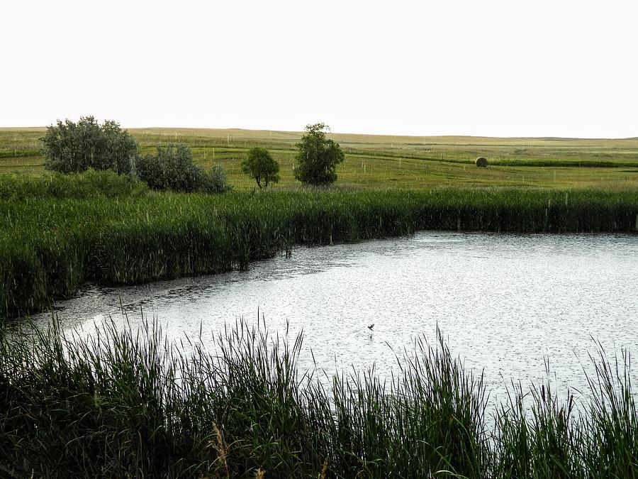 Rainy Pond Photograph by Amanda R Wright