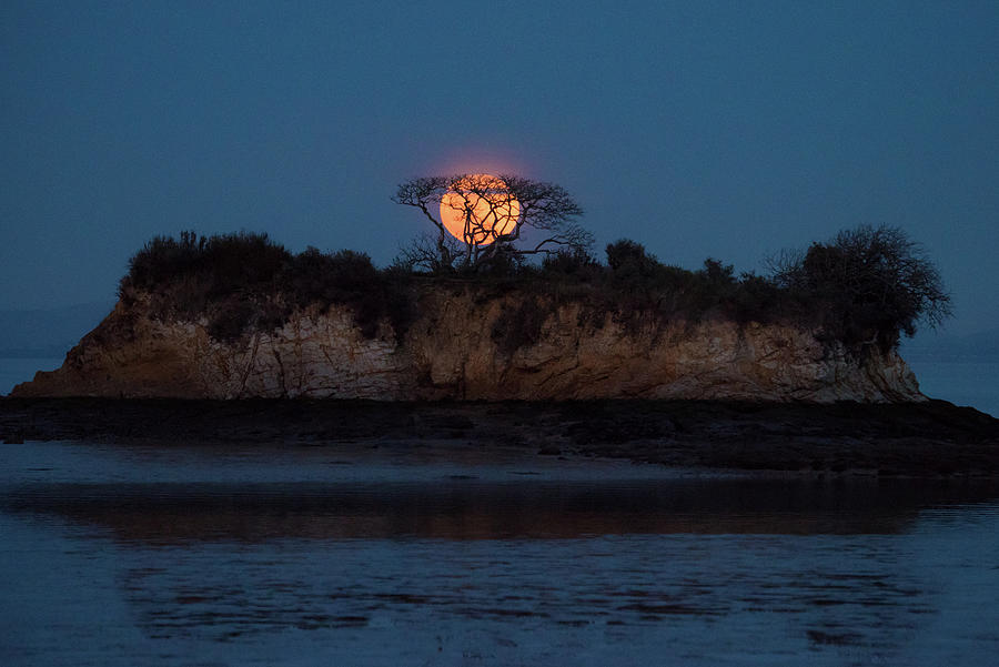 Rat Island Photograph by Louis Raphael