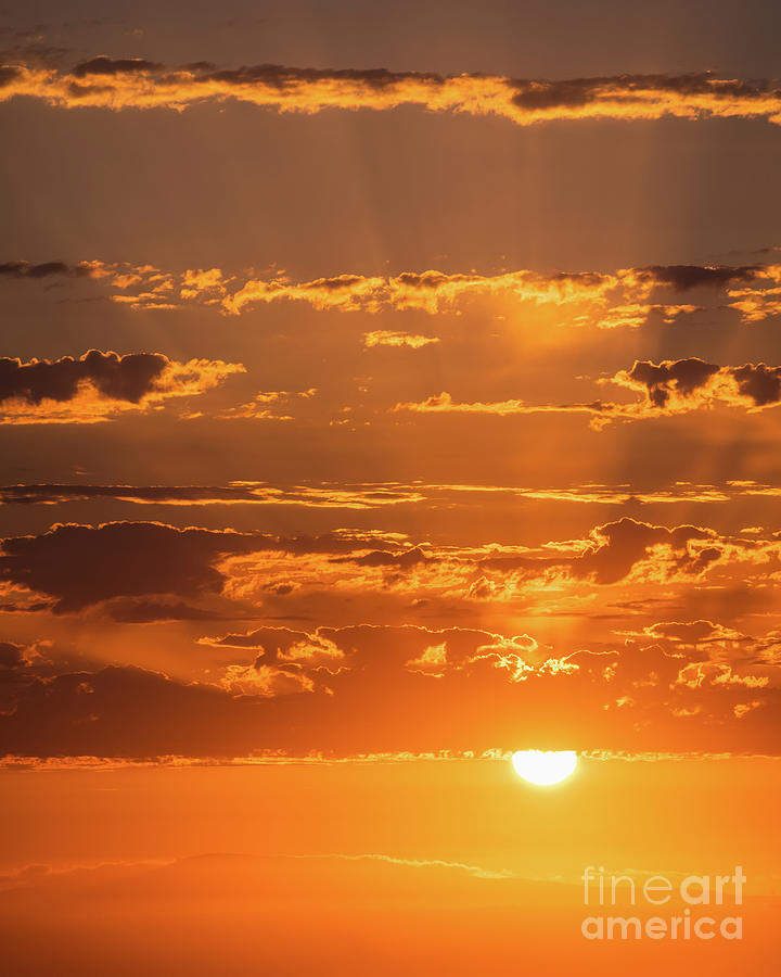 Rays of Golden Light Photograph by Abigail Diane Photography