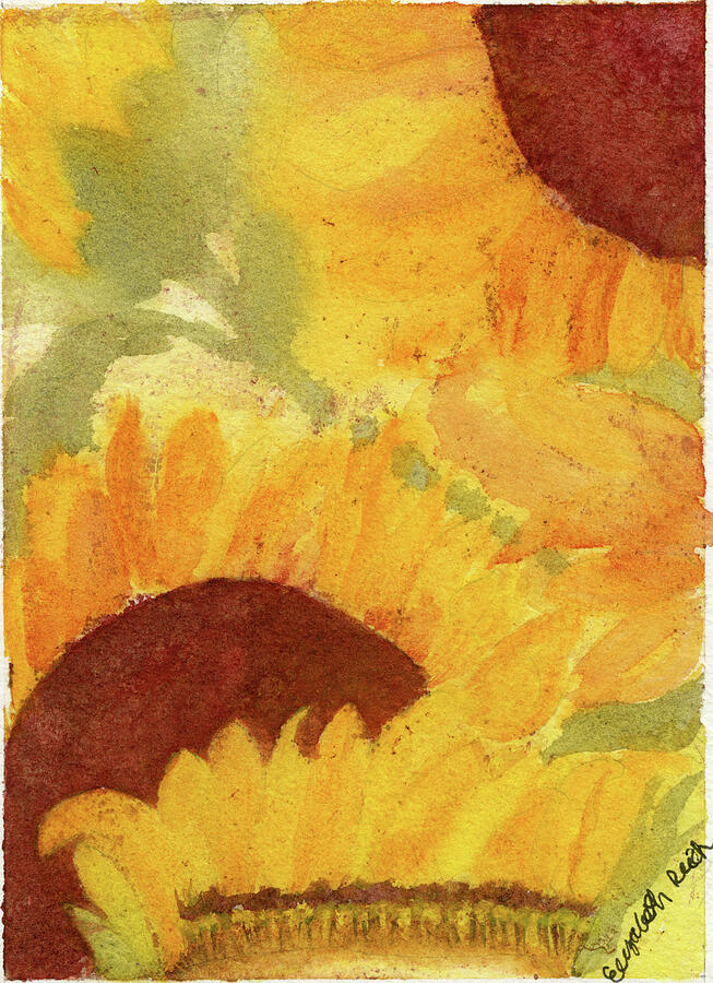 Rays of Sunshine, Sunflower Watercolor Botanical Art Painting by Elizabeth Reich