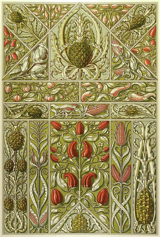 Red Chillies, Pineapple and Corncob -  Art Nouveau illustrations by Anton Seder Drawing by Anton Seder