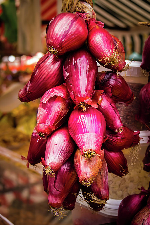 Red Queen Onions Photograph by Craig A Walker