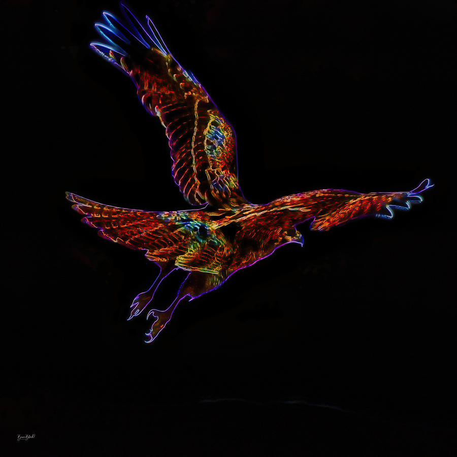Red Tailed Hawk Digital Art by Bruce Block