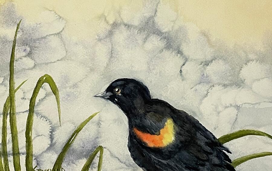 Red Wing Black Bird Painting by Judy Strickland
