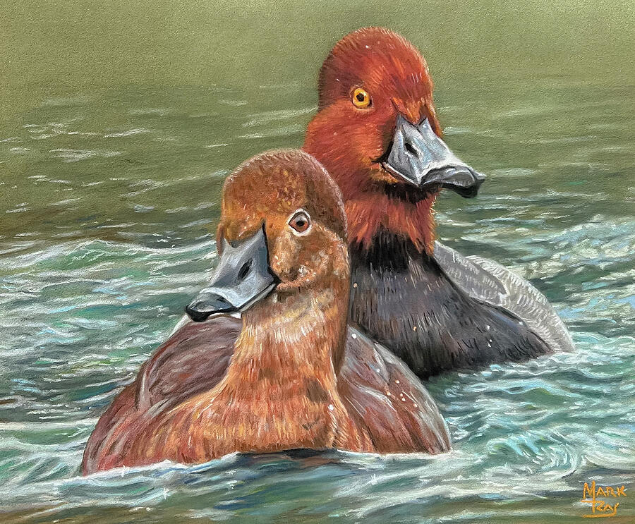 Redheads Pastel by Mark Ray
