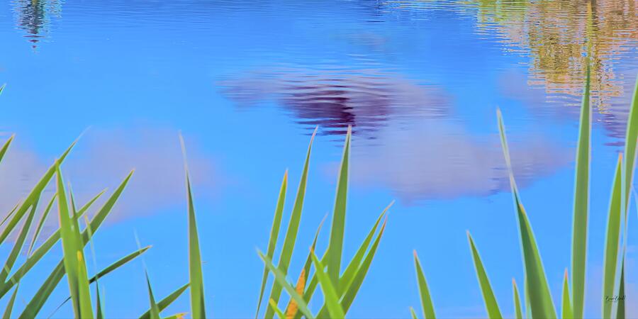 Reflection in a Tranquil Pond Photograph - Reflection in a Tranquil Pond by Bruce Block