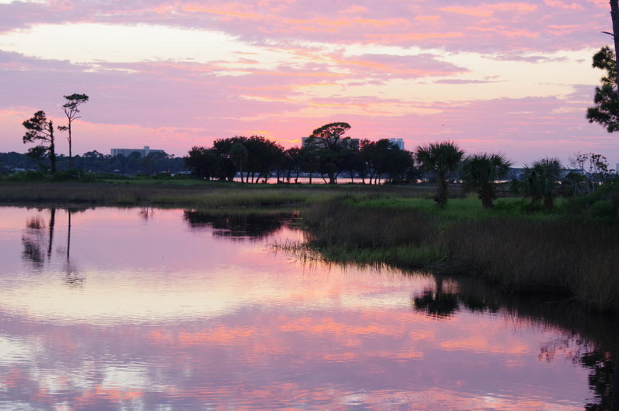 Reflections 3 Photograph by Murray Croft