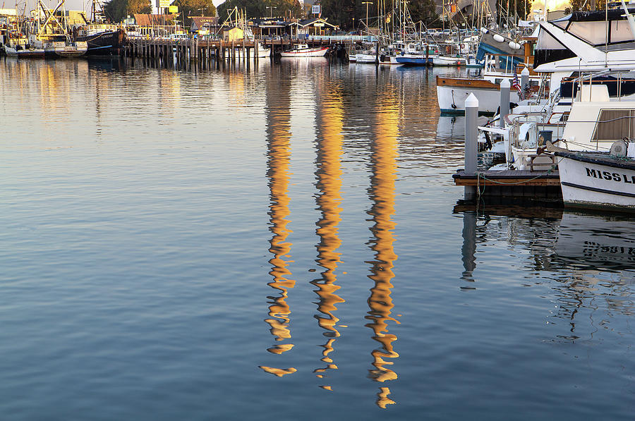 Reflections Photograph by Gina Cinardo