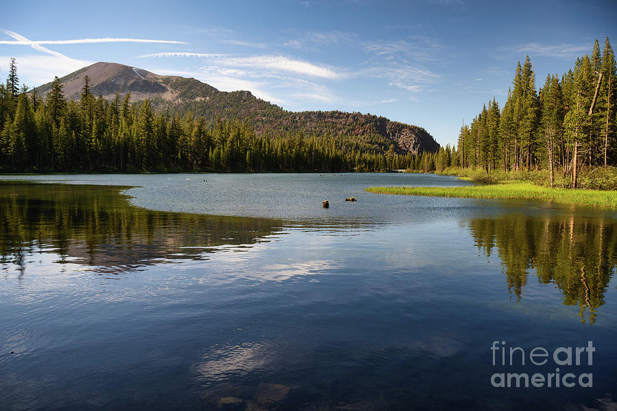 Reflections of a dreamy day Photograph by Abigail Diane Photography