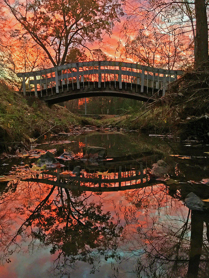 Reflections of an Autumn Sunrise Photograph by Greg Lane