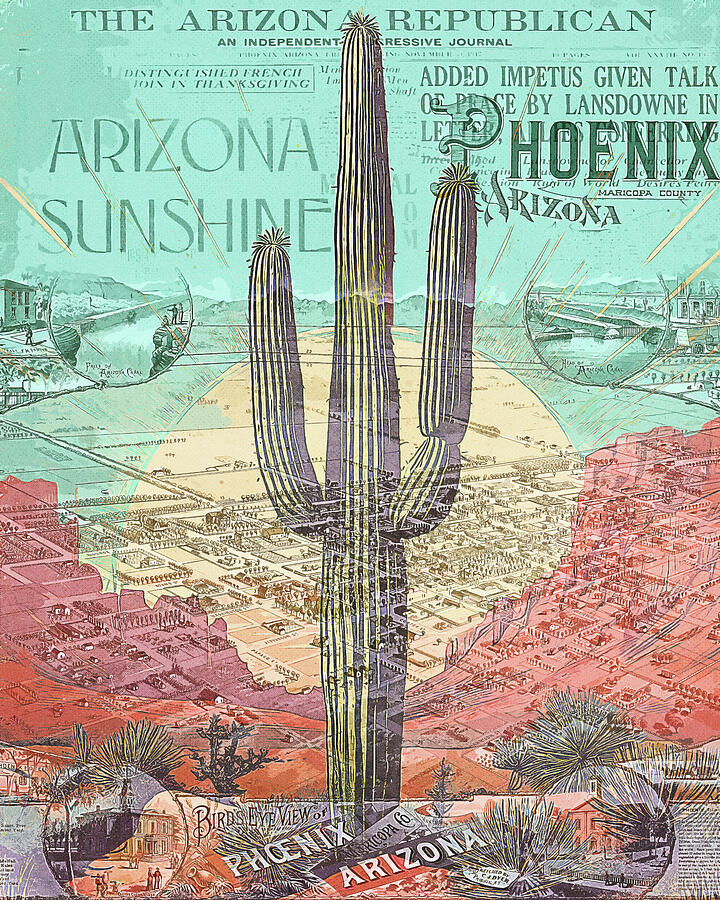 Retro Phoenix Arizona Cactus Mixed Media by Dan Sproul