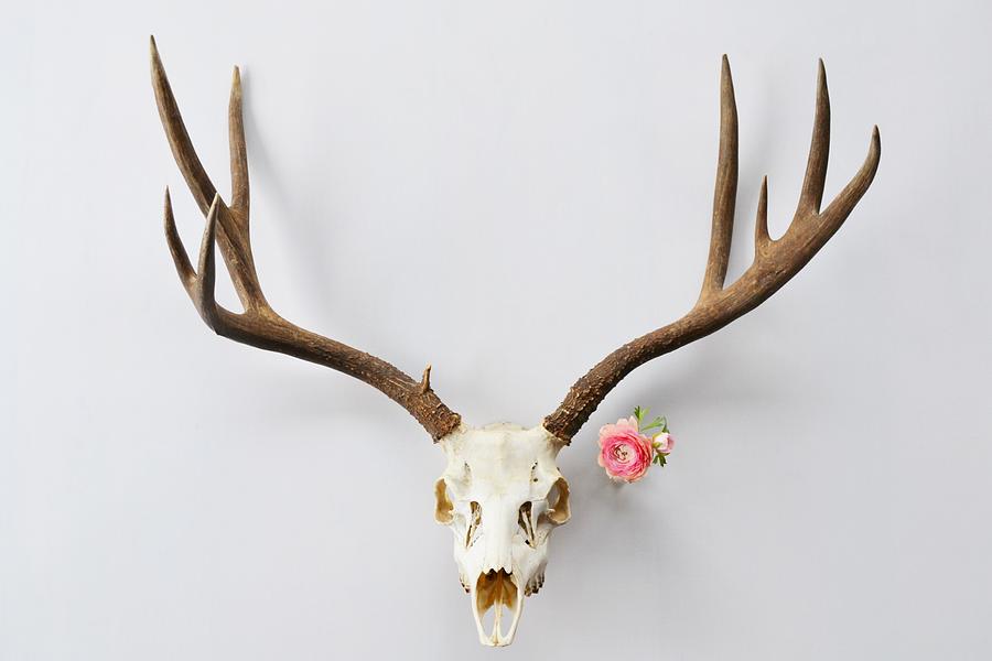 Reverence Photograph by Alden Ballard