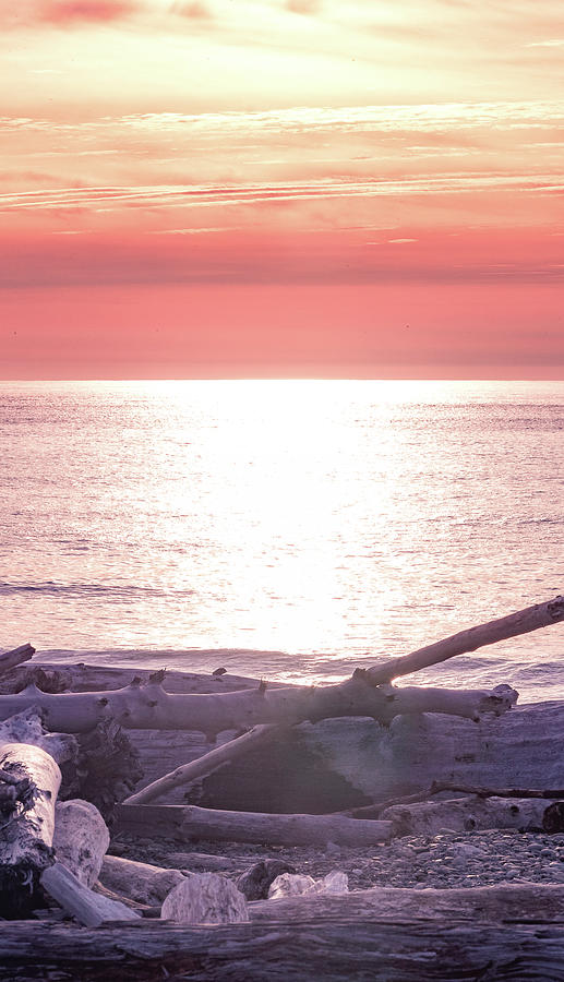 Rialto Beach Sunset, Washington Photograph by Shannon Williams