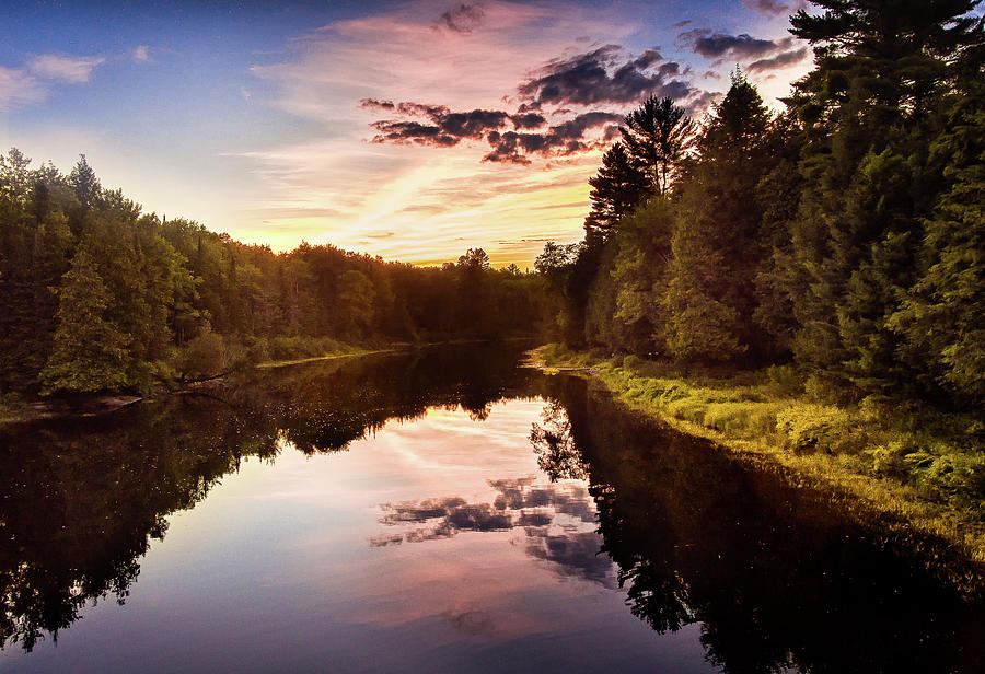 River in the Forest Photograph by Al Poullis