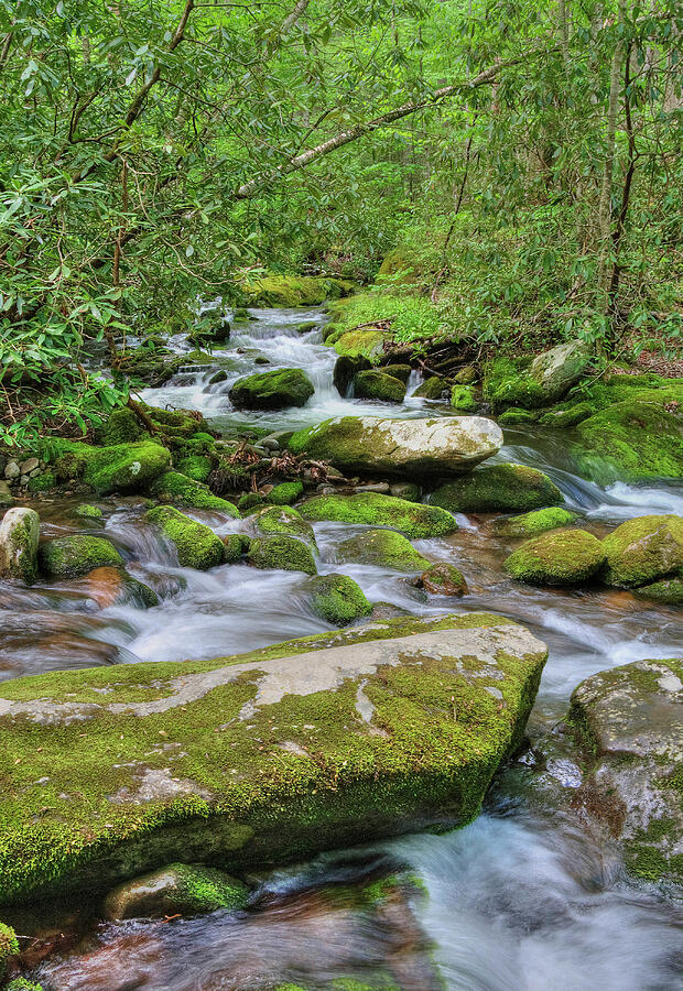 Roaring Fork Photograph by Randall Dill
