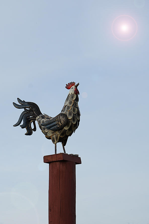 Robot Rooster Call Photograph by Richard Reeve