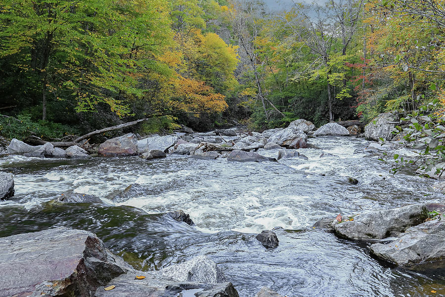 Rockin and Rollin Photograph by Steve Templeton
