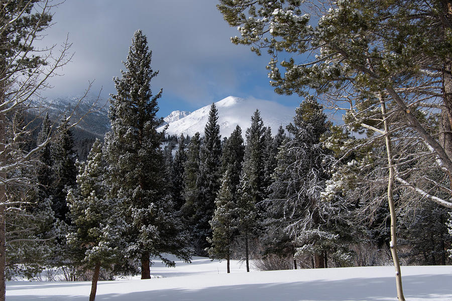 Rocky Mountain Winter Morning Sunlight Photograph by Cascade Colors