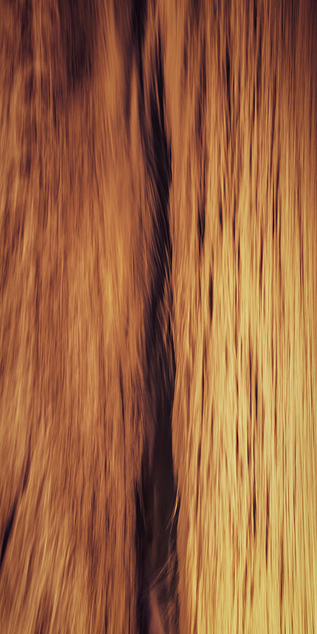 Open to Interpretation Photograph by Rich Kovach