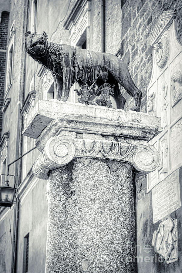Rome BW - Capitoline Wolf sculpture with Romulus and Remus Photograph by Stefano Senise