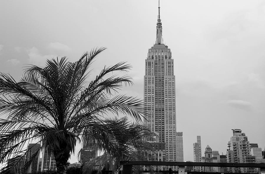 Rooftop Oasis Photograph by Jeffrey Bailey