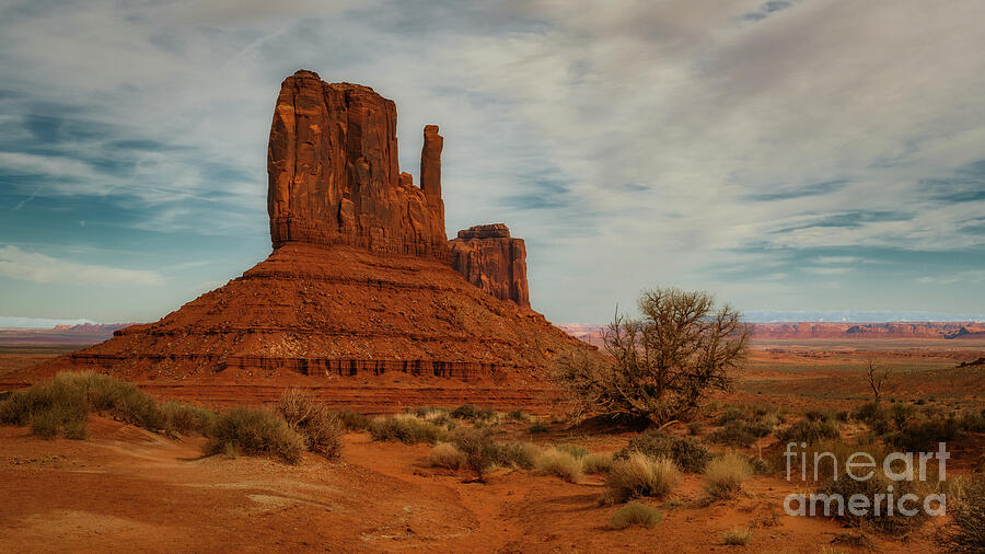 Monument Valley Landscape at Sunrise Photograph - Rooted in Red Earth by Dodie Ross