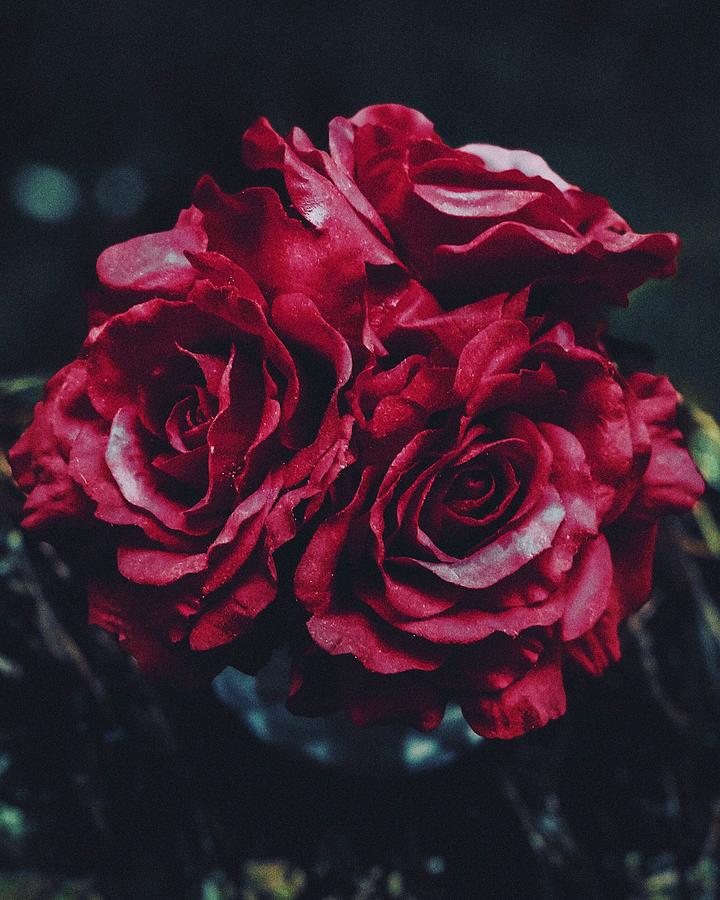 Rosary Photograph by Canessa Thomas