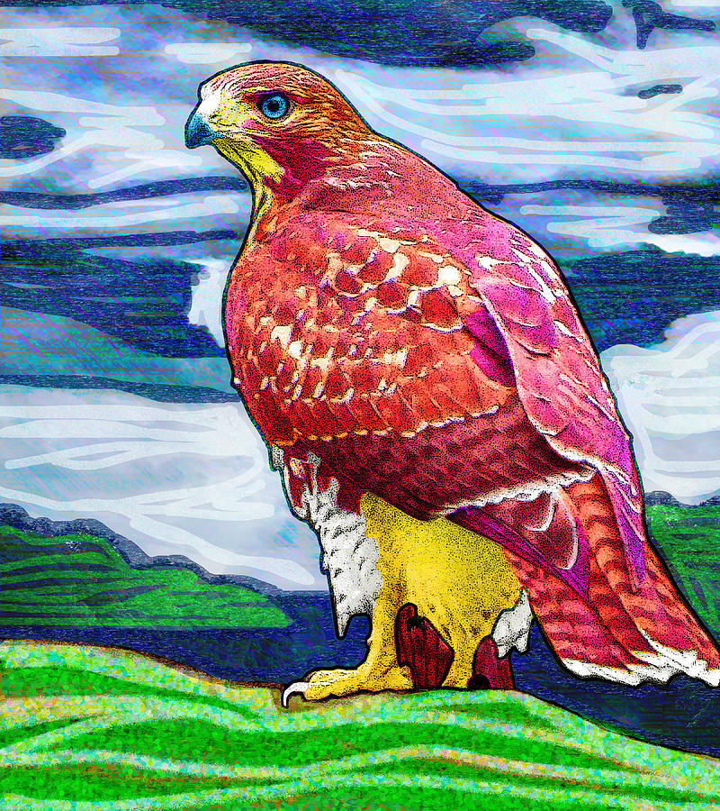 Rose Hill Hawk Digital Art by Rod Whyte