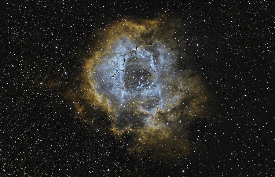 Rosette Nebula Photograph by Brian Weber