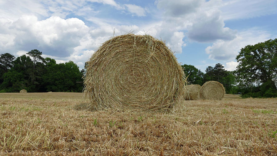 Round Bale Photograph by Brian Hare